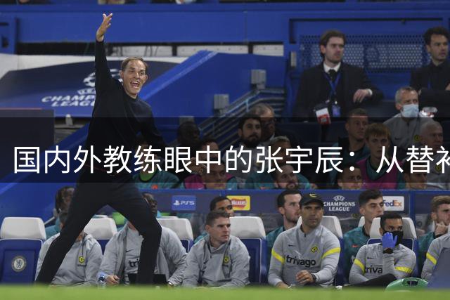 国内外教练眼中的张宇辰：从替补到核心的转变